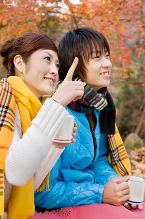 人気のサービス車検見積もりの特徴や種類