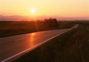 京都などの中古原付の必要性について