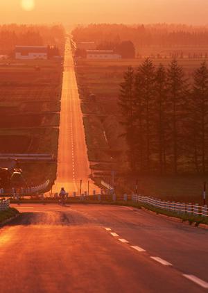 自動車車検の安さと短時間の秘密