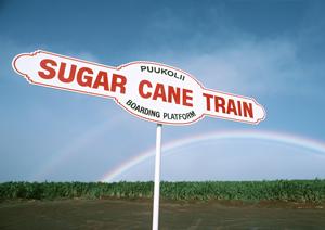 お車をご用意くださいプロの運転手にお任せください