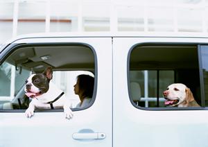 一宮市で最大級の軽中古車専門店