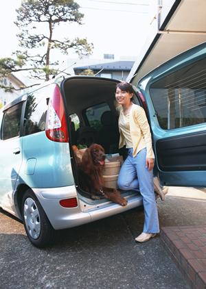 豊田車検が切れた車は罰金を払うのか