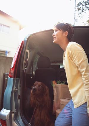 一宮市で未使用車を購入するなら安全性と燃費に優れたリーズナブルな車種をご紹介!